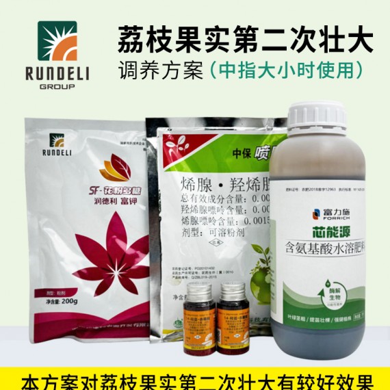 【荔枝果實第二次壯大】專用調(diào)養(yǎng)方案
