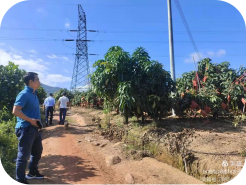 保亭2022年減肥減藥增產(chǎn)增效示范方案