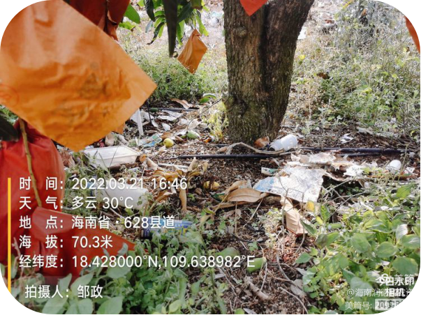 1650437065153080.png 8.png