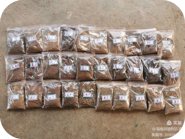 1650437165534236.png 9.png