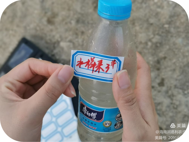 1650439540168119.png 20.png