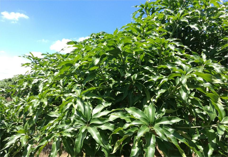 1656476493189882.jpg R-C (6).jpg